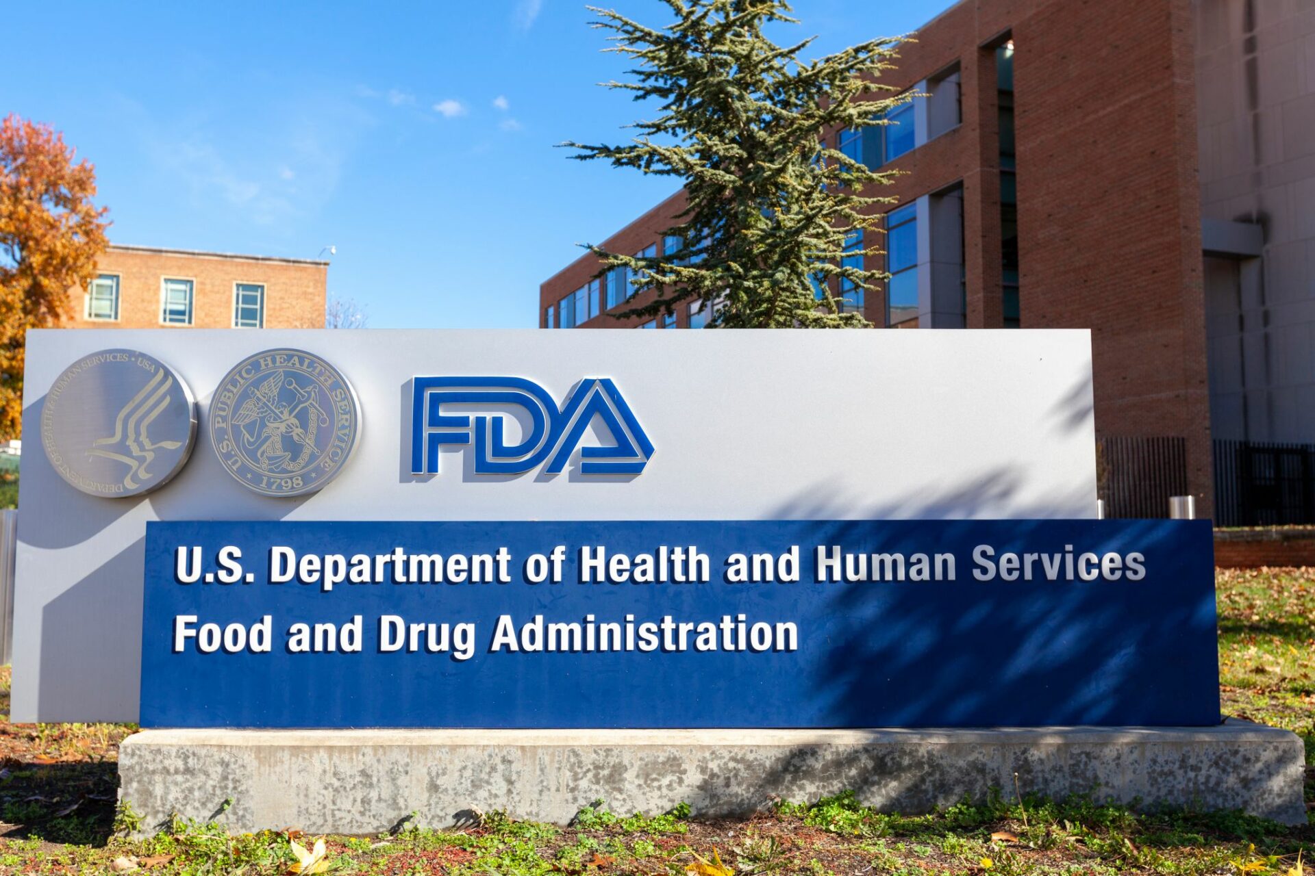 Considérations pour le développement de CAR-T cells: retour sur le webinaire de la FDA